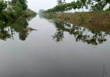 白马湖农场灌溉河