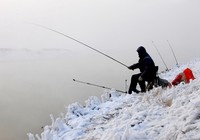 分享冬季野钓鲫鱼的必备技巧