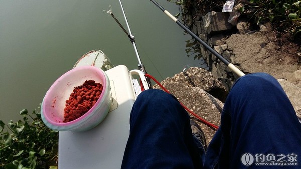 海门謇公湖钓鱼图片