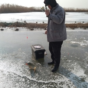 今天在白洋淀河边冰钓，红虫钓鲤鱼和鲫鱼效果就是牛！