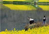 春季钓鱼时挑选钓位的两个重要技巧