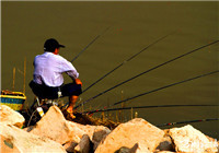 江河钓鲤鱼的钓位选择和饵料搭配技巧