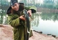 《垂釣對象魚視頻》 男子6.3米手竿野釣大草魚