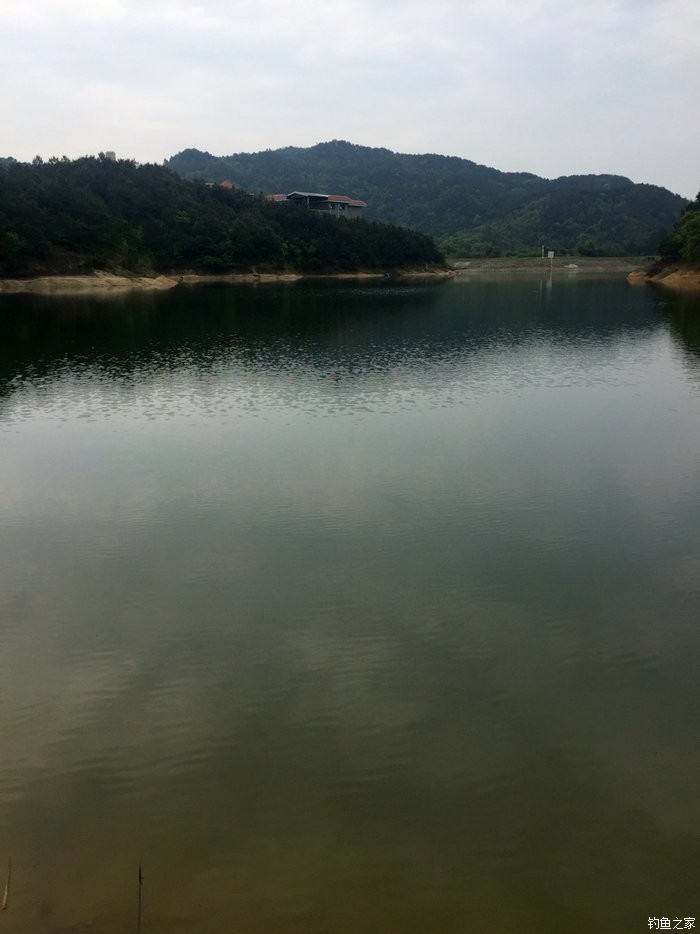 響水壩水庫 天元餌料釣鯉魚 - 釣魚之家