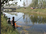 春季在江河钓鱼的钓位选择技巧和经验