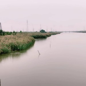 淄脉河