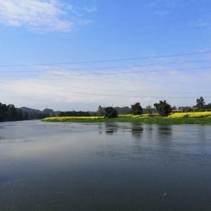 仙桥河