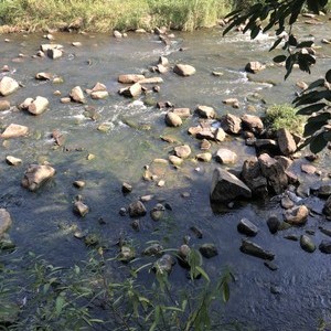 花溪沟