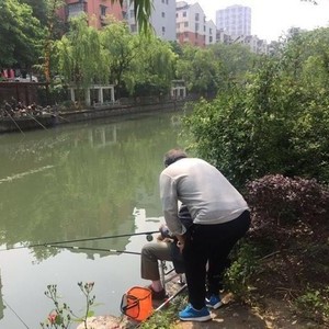 上海塘河天气预报