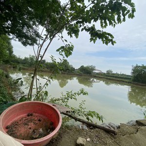 青白江玉龙休闲钓场天气预报