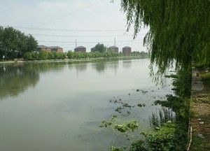 泗泾塘河天气预报