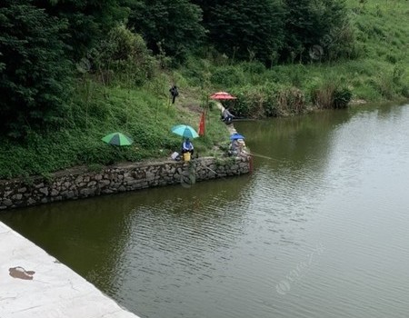 河边钓鱼技巧