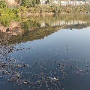 凉山洞水库