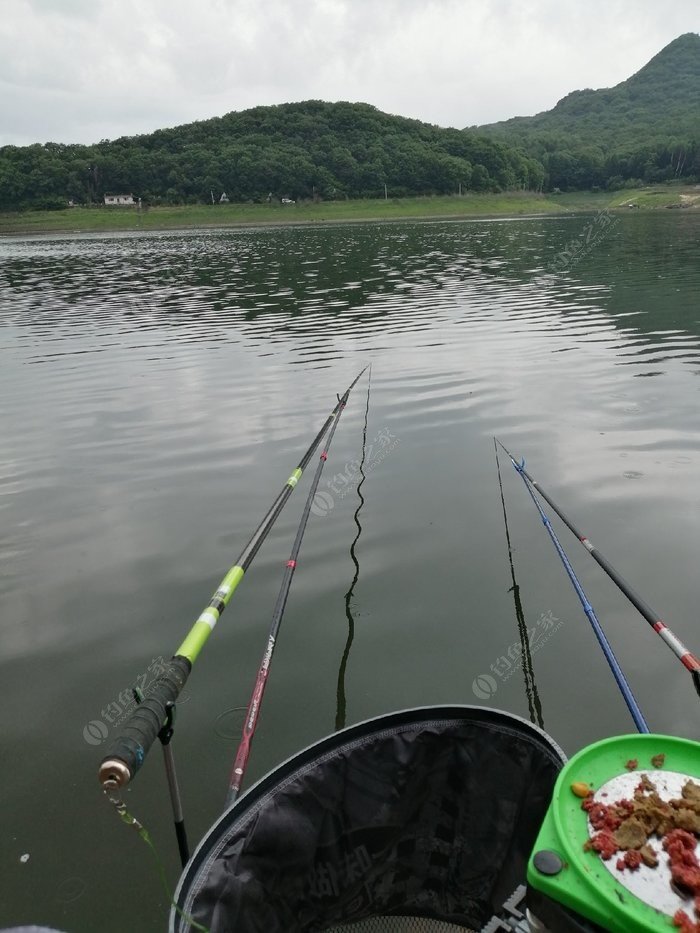 野钓松花湖野生大鲤鱼 