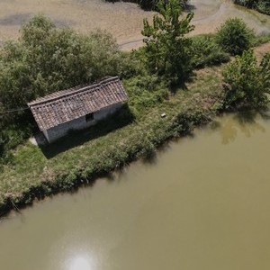 泉水鱼钓鱼基地