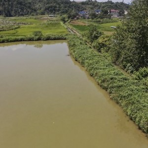 泉水鱼钓鱼基地