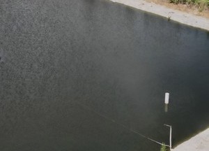 栗雨垂钓基地