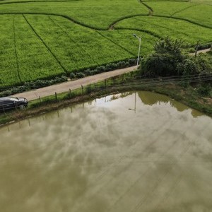 塘坊村钓鱼场