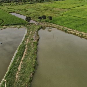 塘坊村钓鱼场