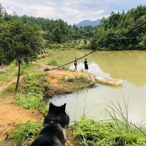 关口飞跃路亚基地