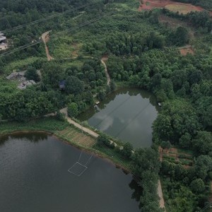 李杏塘钓场