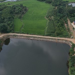 李杏塘钓场