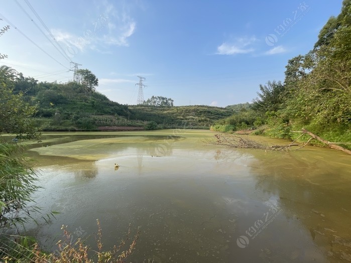 钟房坝钓场