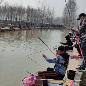 鱼多多垂钓园