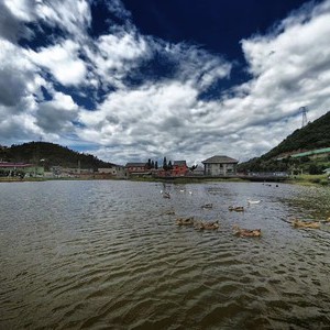 水龙井湿地公园