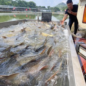 永业钓鱼场