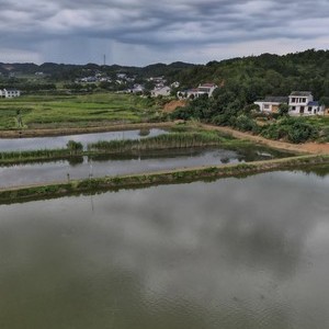 密眼塘钓场