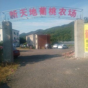 新天地农场垂钓乐园