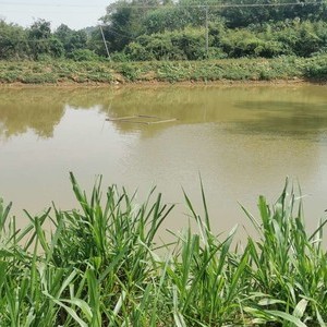 文兵钓场天气预报