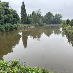 七道龙门钓场天气预报