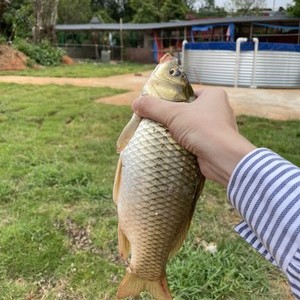 龍溪湖度假村