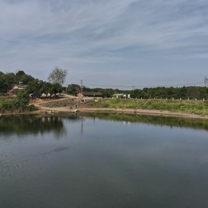 朱亮桥水库