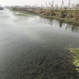 山阳河