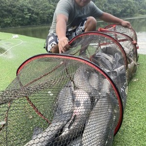 海王钓场•北源涧水库