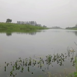 西淝河堰王庄段天气预报