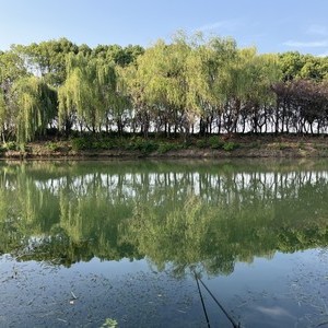 环太湖河道天气预报