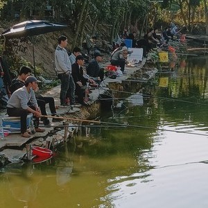 威马钓鱼场（惠州）天气预报
