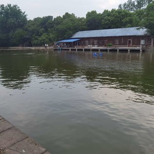 大圩老根山庄钓场