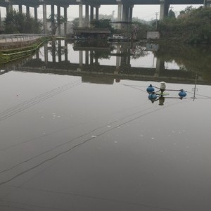 龙王山水鱼