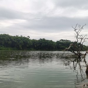 探钓流溪河，失败告终……