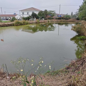 新星土元钓场天气预报