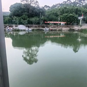 溪悦渔庄九龙湖店