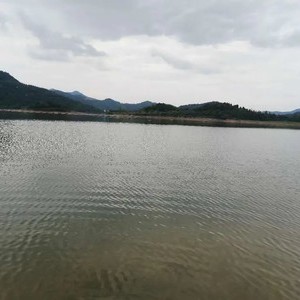 升钟湖黄桷树农家小院