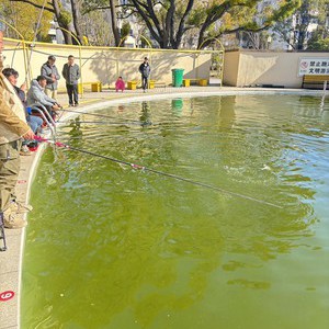 多多钓场