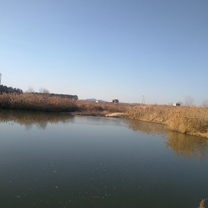 黄垒河
