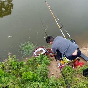 青山绿水原生态钓场